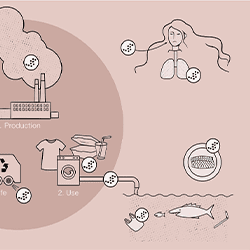 Picture for category Microplastic pollution